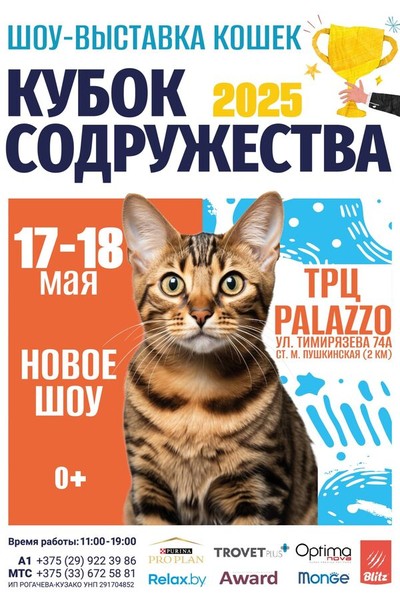 Кубок Содружества — 2025! Международная выставка кошек и котят