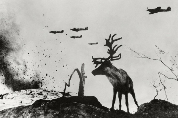 «Два капитана». Презентация в рамках историко-краеведческого проекта «Мурмашинский альбом»