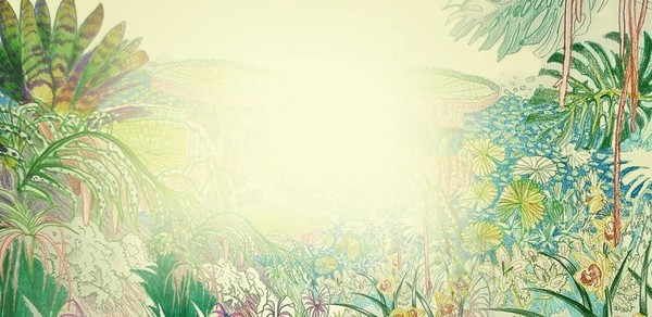 Занятия в студии книжной графики «Такая разная природа. Пейзаж»