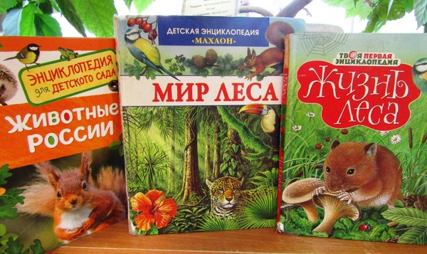 Экологический час «В царстве ягод и грибов»