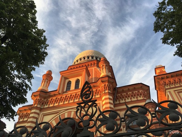 Таинственная Синагога в Ночь музеев