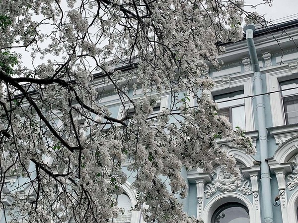 Пешеходная прогулка «Война в пределах городской черты»