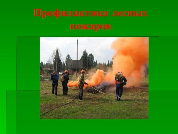 Информационный час «Профилактика лесных пожаров»