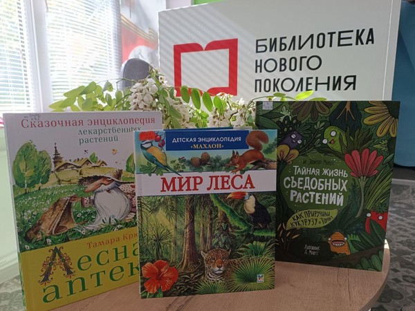 Урок здоровья «Лесная аптека»