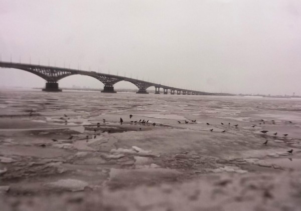 Земля – наш экодом