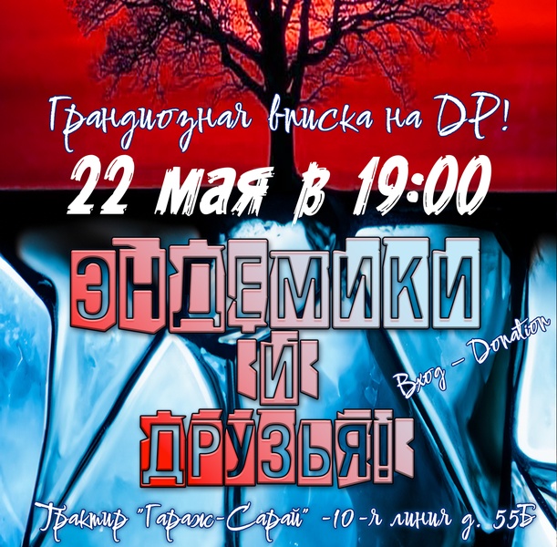Концерт группы "Эндемики"