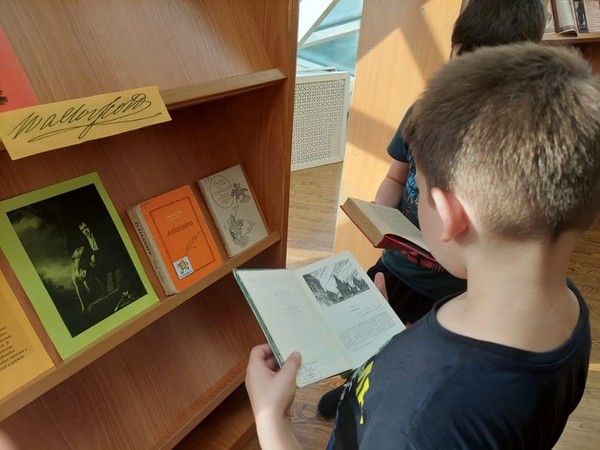 Книжная полка «Великий сын Дона»