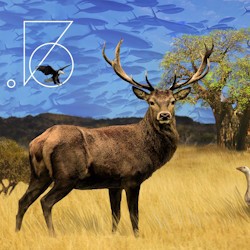 Александра Виноградова