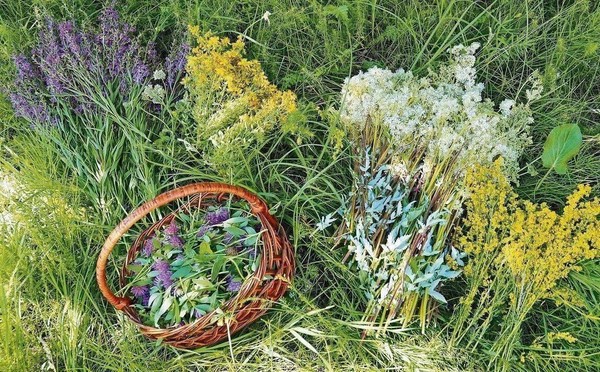 Час русской культуры «День Симона»