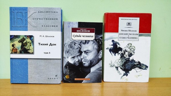 Программа «Летописец земли Донской»