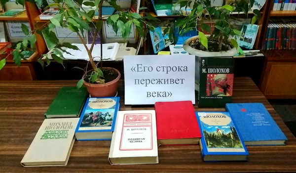 Литературный салон «Михаил Шолохов – непростая жизнь таланта…»