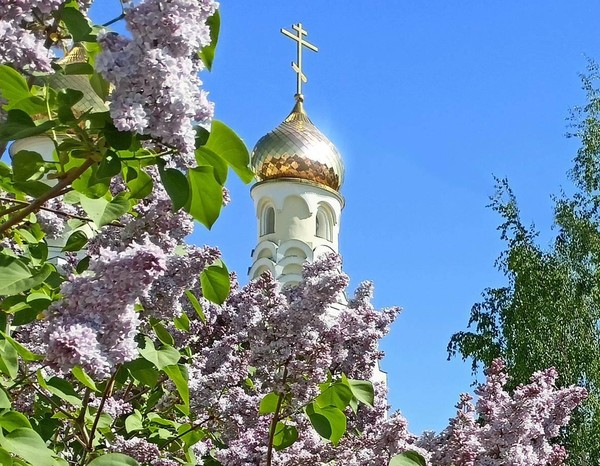 Фестиваль «Дни сирени»