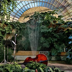 Музыка в Оранжерее. Mazal Jazz