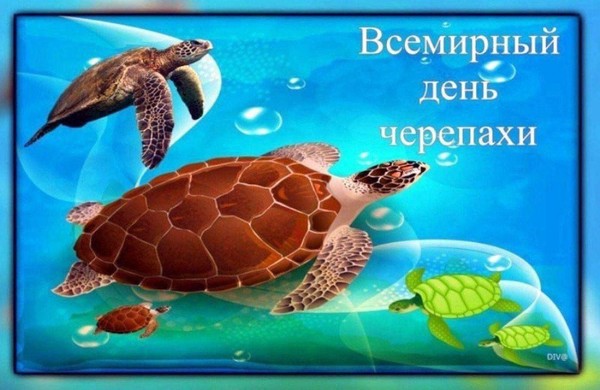 Экологический дневник «Самая древняя и мудрая»