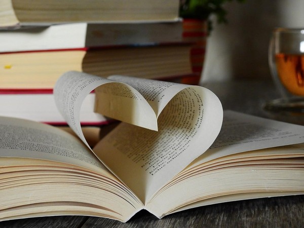 Программа «В лабиринте книг»