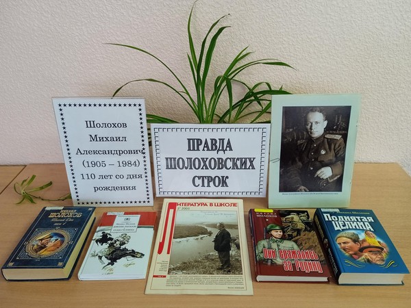 Литературный час «правда Шолоховских строк»