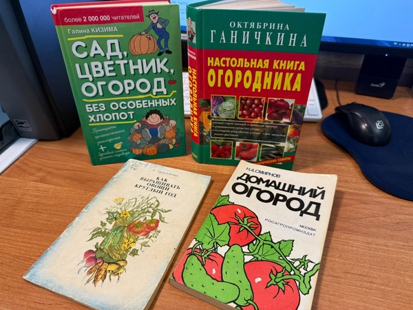 Игра «Огород на окошке»