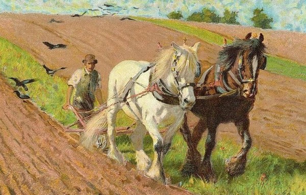 Час русской культуры «Федор Житник»