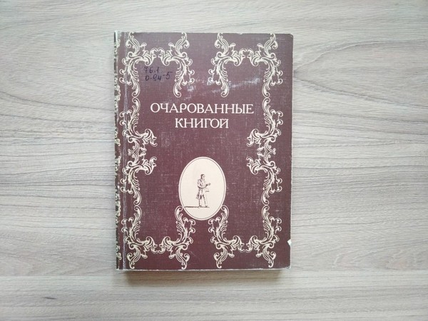 Программа «Библиотечное погружение»