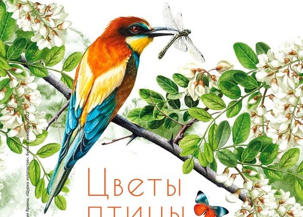 Цветы, бабочки, птицы. Выставка ботанического искусства