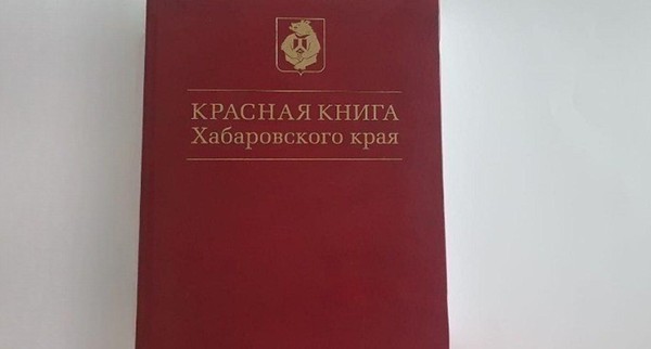 Программа «По страницам Красной книги Хабаровского края»