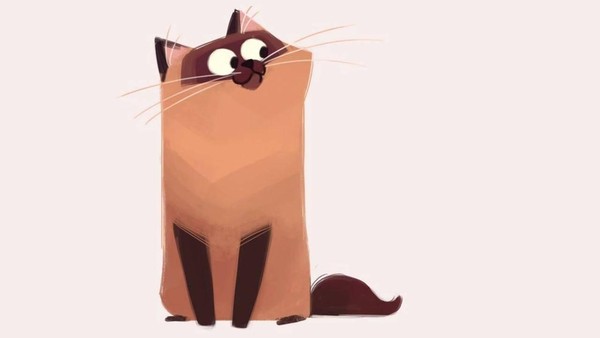 Познавательная игра «КотоОбозрение»