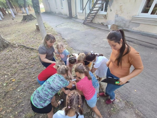 Чудеса на лужайке