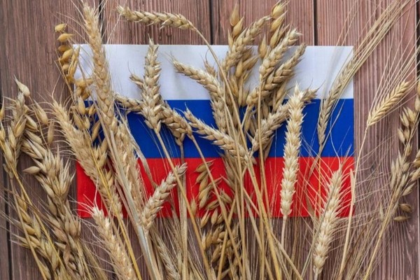 Виртуальная выставка «В поле колосится рожь…»