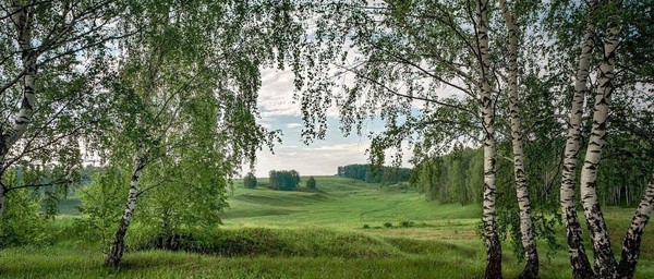 «Русь, Россия, Родина моя»