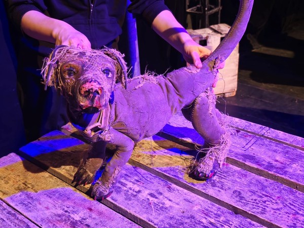 Даниил Шигапов