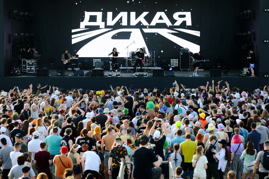 Фестиваль «Дикая Мята»