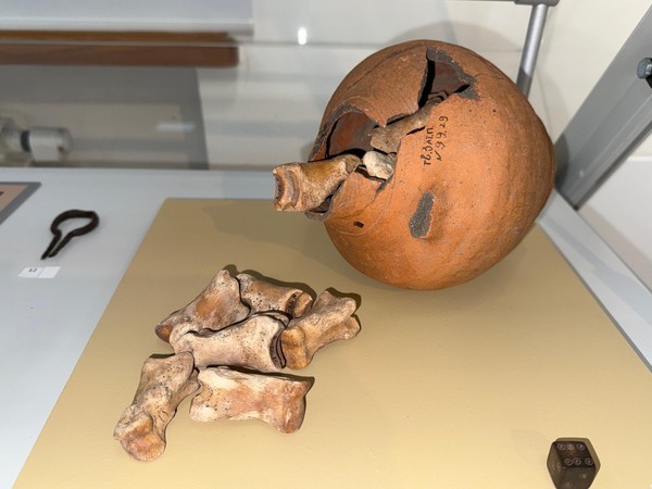 Экскурсия по выставке «Древняя Тверь. История под ногами»