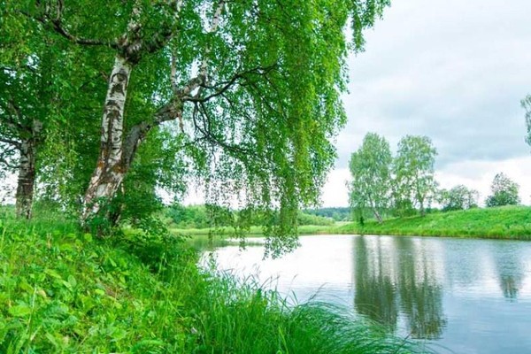 Концерт народной песни «Русские ХИТЫ»