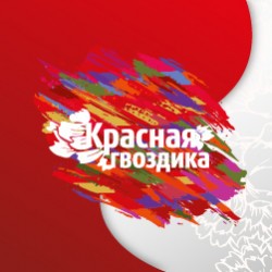 Красная гвоздика. Беларусь моя