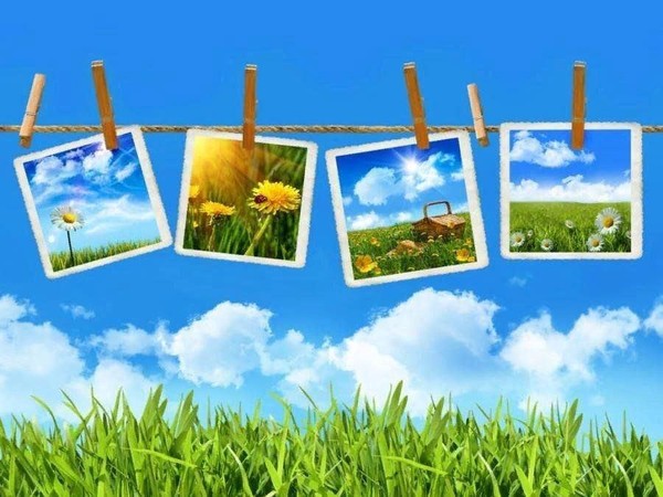 Интерактивная развлекательная программа- Улыбнись планета, в объективе лето