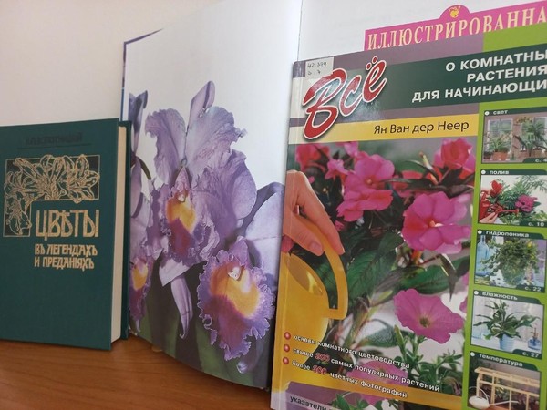 Эко-квест «Цветочные бродилки»