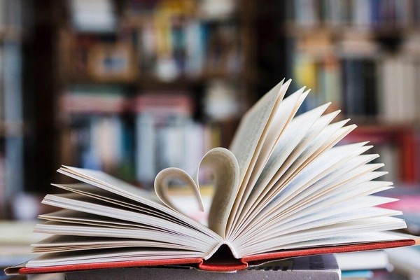 «Книжные новинки»