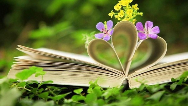 «Новые книги – для вас, читатели!»