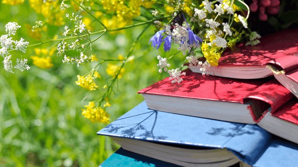 «Лето, солнце, ты и книга»