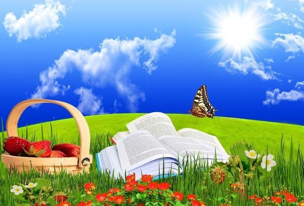 Праздник «Да здравствуйте книжное лето!»