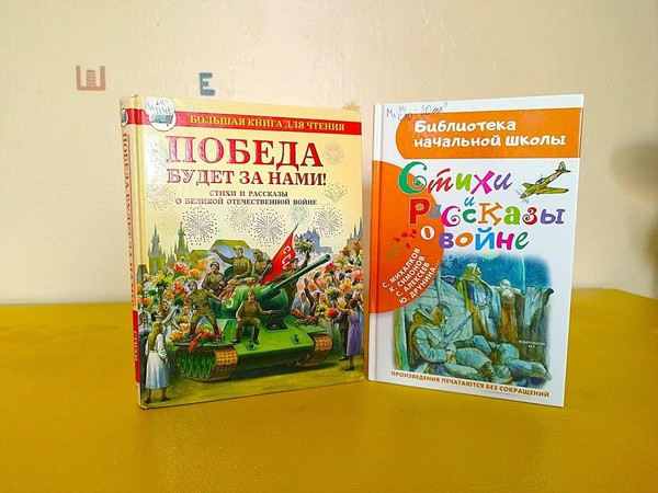 Громкие чтения «И память о войне нам книга оживит»