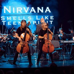 Renaissance Cellos