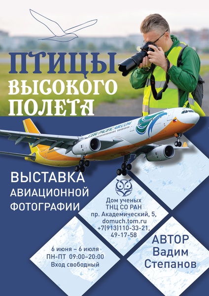 Птицы высокого полёта
