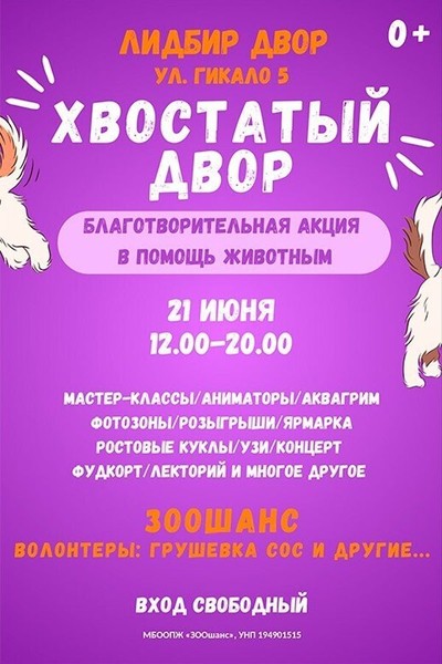 Фестиваль «Хвостатый двор»