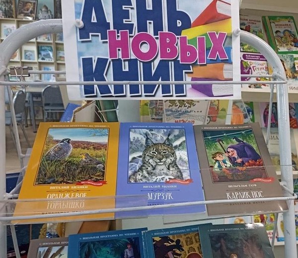 Выставка читательских предпочтений «День новых книг»