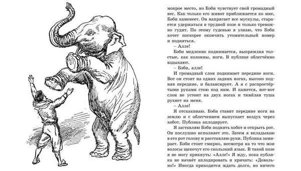 Тематическая беседа «Рассказ В.Л. Дурова «Слон Бэби»»