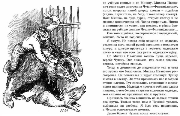 Тематическая беседа «Рассказ В.Л. Дурова «Чушка-Финтифлюшка»»