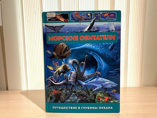 Беседа «Морские обитатели»