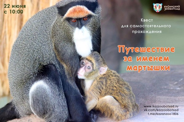 «Путешествие за именем мартышки» квест для самостоятельного прохождения