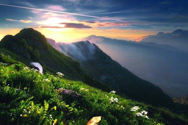 Прогулка по альпийским лугам